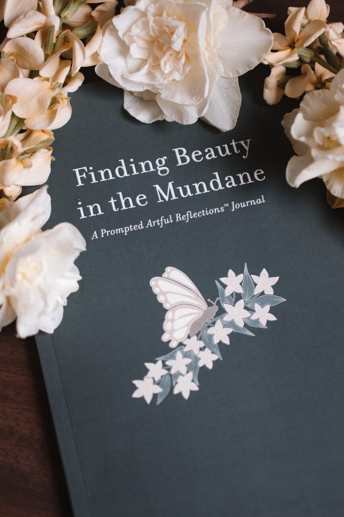 Finding Beauty in the Mundane